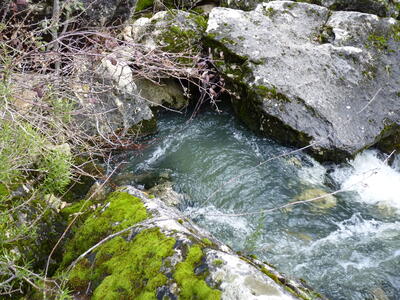 Fuente de Mata Asnos - imagen 1