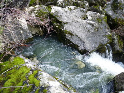 Fuente de Mata Asnos - imagen 2