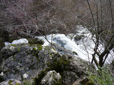 Fuente de Mata Asnos - imagen 4