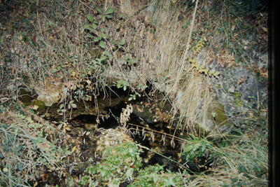 Fuente de Mata Asnos - imagen 8