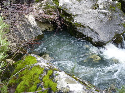 Fuente de Mata Asnos - imagen 3