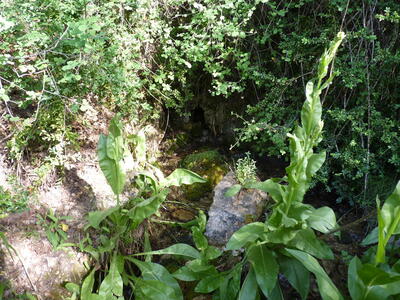 Fuente la Peguera - imagen 6