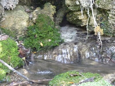 Fuente la Peguera - imagen 4