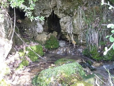 Fuente la Peguera - imagen 3