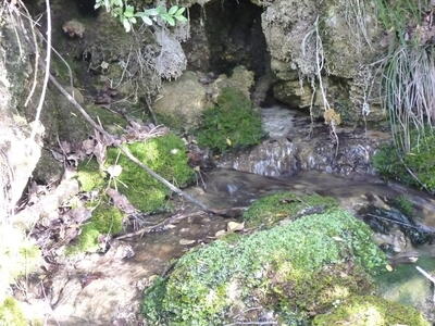Fuente la Peguera - imagen 5