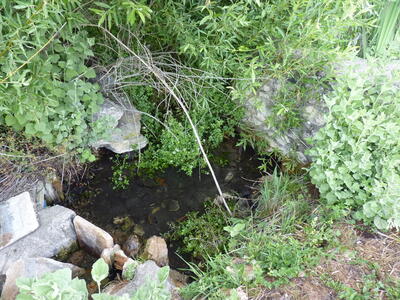 Fuente de las Pilas - imagen 4