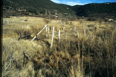 Fuente de los Encañaillos - imagen 1