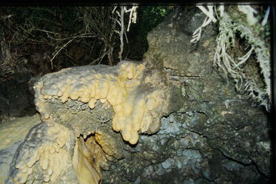 Fuente la Toba - imagen 2