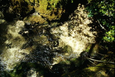 Fuente la Toba - imagen 1