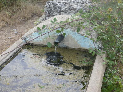 Fuente del abrevadero de la Juensanta - imagen 2