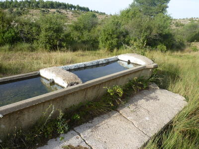 Fuente del abrevadero de la Juensanta - imagen 7