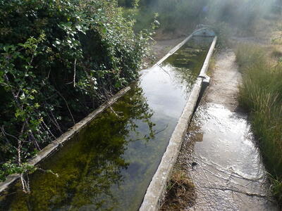 Fuente del abrevadero de la Juensanta - imagen 5