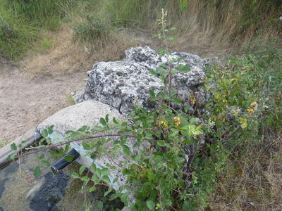 Fuente del abrevadero de la Juensanta - imagen 4