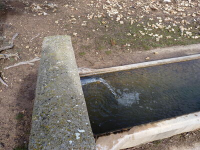 Fuente del Abrevadero de los Casares - imagen 3