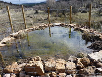 Fuente del Abrevadero de los Casares - imagen 9