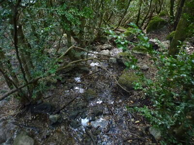 Fuente del Arroyo de la Casilla I - imagen 6