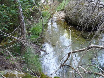Fuente del Arroyo de la Casilla II - imagen 9