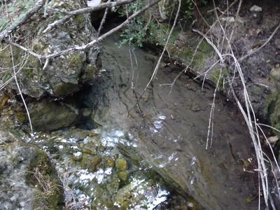 Fuente del Arroyo de la Casilla II - imagen 4
