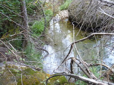 Fuente del Arroyo de la Casilla II - imagen 8