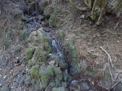 Fuente del Arroyo de la Casilla II - imagen 1