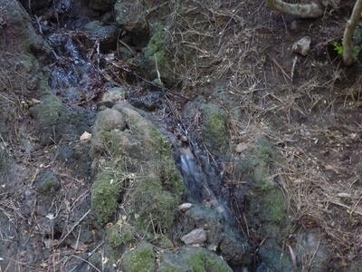 Fuente del Arroyo de la Casilla II - imagen 3