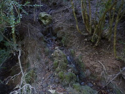 Fuente del Arroyo de la Casilla II - imagen 2
