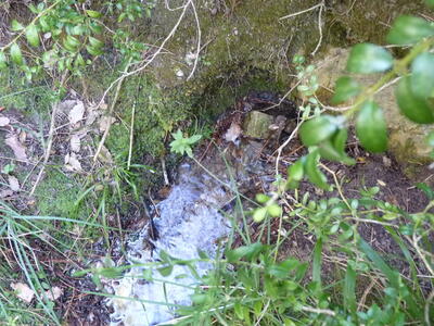 Fuente del Arroyo de la Casilla III - imagen 6