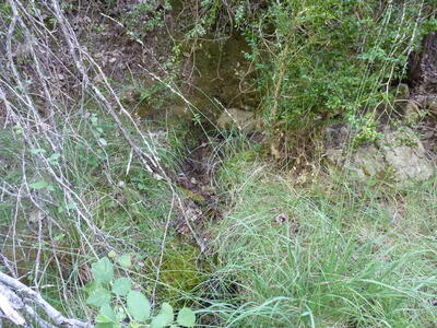 Fuente del Arroyo de la Casilla III - imagen 1