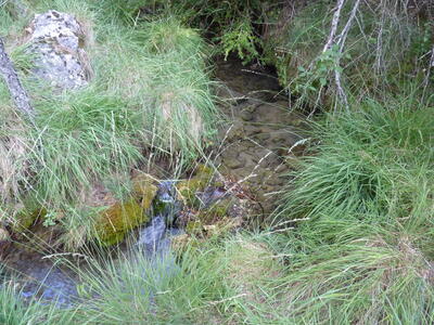 Fuente del Arroyo de la Casilla III - imagen 3