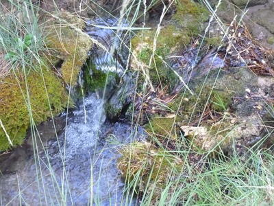 Fuente del Arroyo de la Casilla III - imagen 4