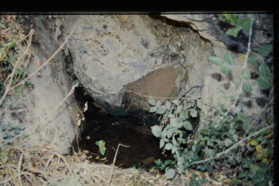 Las fuentecillas - imagen 1