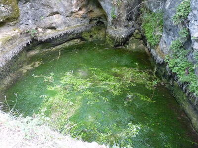 Fuente el Gollindo - imagen 7
