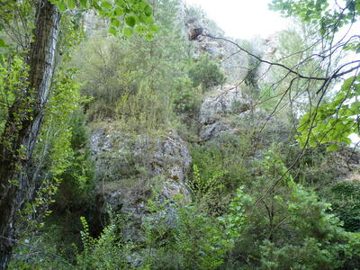 Fuente el Gollindo - imagen 8
