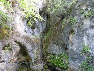 Fuente el Gollindo - imagen 9