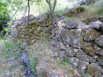 Fuente el Gollindo - imagen 10