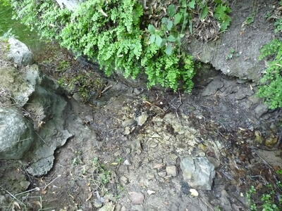 Fuente el Gollindo - imagen 4
