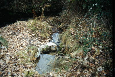 El Hijuelo de la Vega - imagen 2