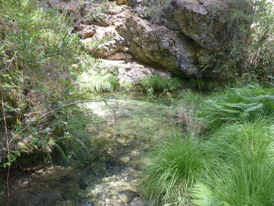 Fuente del Miravete - imagen 7
