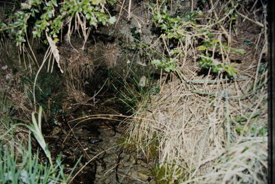 Fuente las Pobedillas - imagen 1