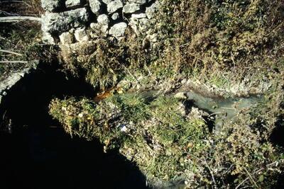 Fuente de la Presa - imagen 1