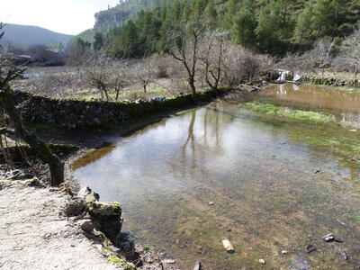Fuente Burlaca - imagen 10