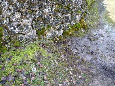 Fuente Burlaca - imagen 6