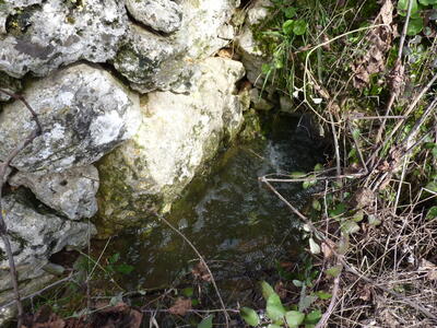 Fuente Burlaca - imagen 3