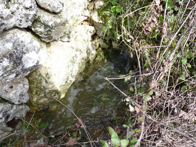 Fuente Burlaca - imagen 2