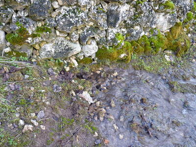 Fuente Burlaca - imagen 9