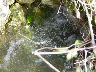 Fuente Burlaca - imagen 4