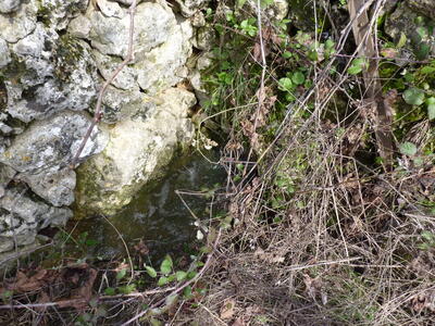 Fuente Burlaca - imagen 5