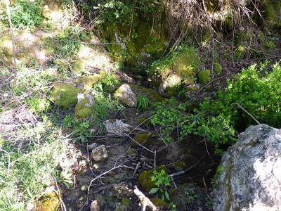 Fuente de la Cerca de Bernardino II - imagen 5