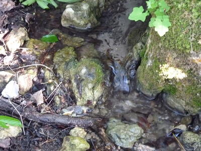 Fuente de la Cerca de Bernardino II - imagen 6