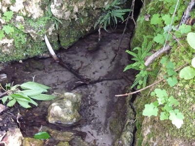 Fuente de la Cerca de Bernardino II - imagen 2